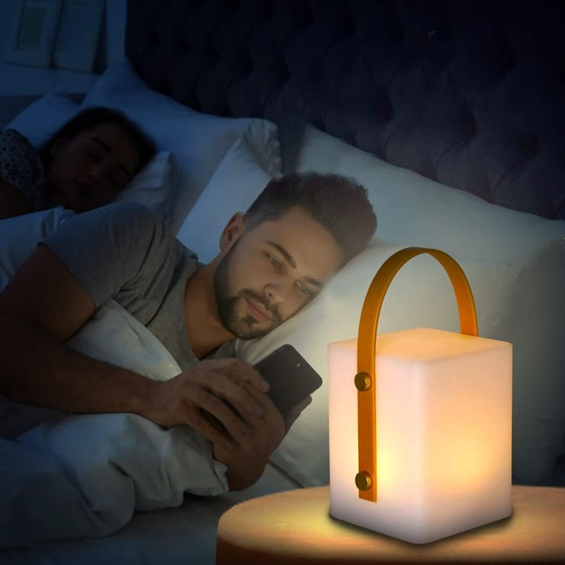 aialatern 5.jpg