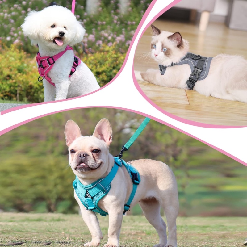 jalutustraksid 6.jpg