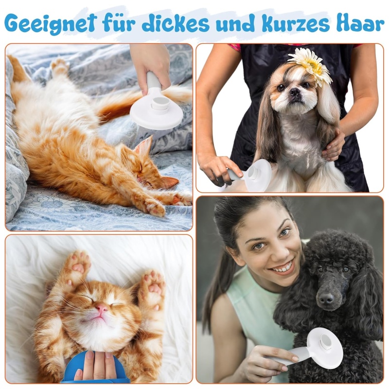karvahari 5.jpg